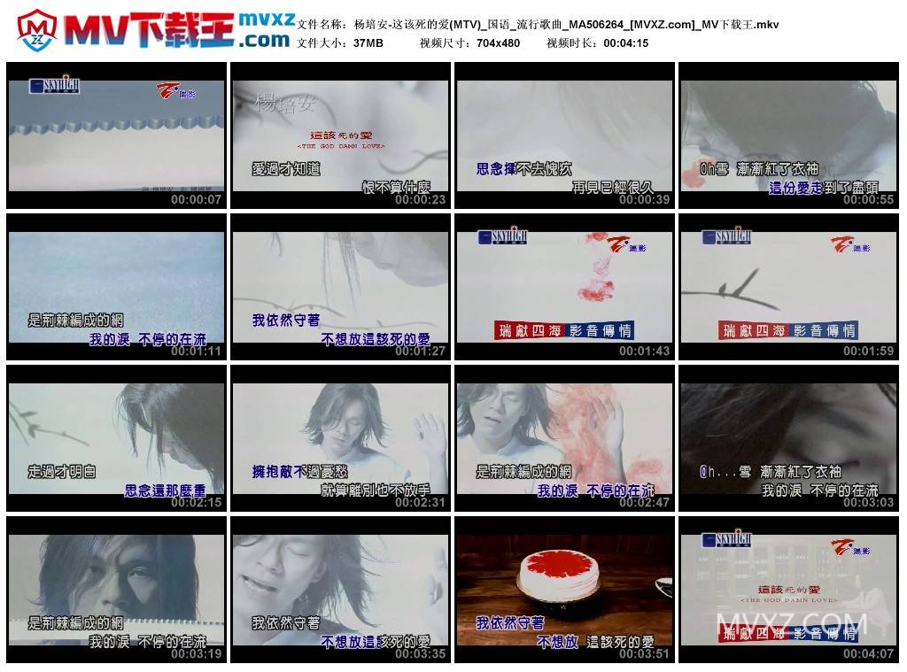 杨培安-这该死的爱(MTV)_国语_流行歌曲_MA506264